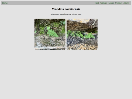 plants/Woodsia_cochisensis screenshot
