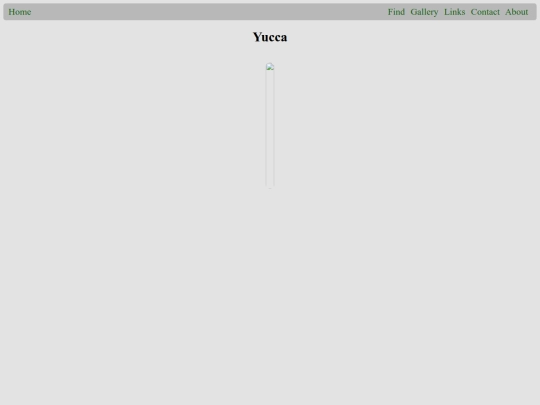plants/Yucca screenshot