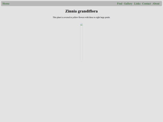 plants/Zinnia_grandiflora screenshot
