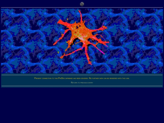 works/PhiOrg/not_found_2 screenshot