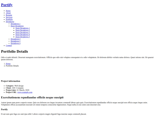 portfolio-details screenshot