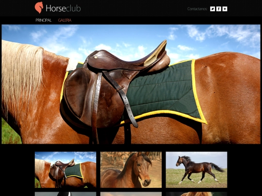 gallery screenshot