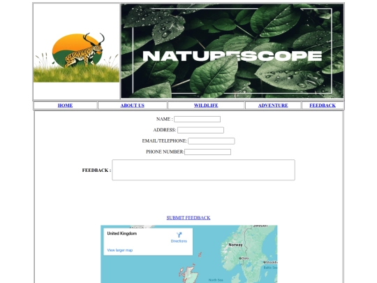 Feedback-page screenshot