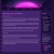 useratm0m0.neocities.org avatar