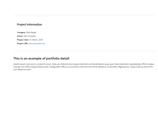 portfolio-details screenshot