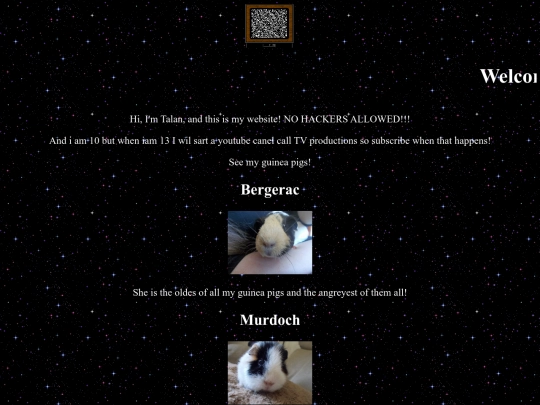 Talansapoo/homepage screenshot