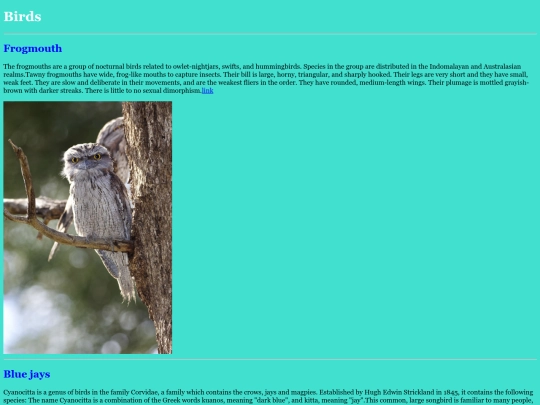 birds screenshot