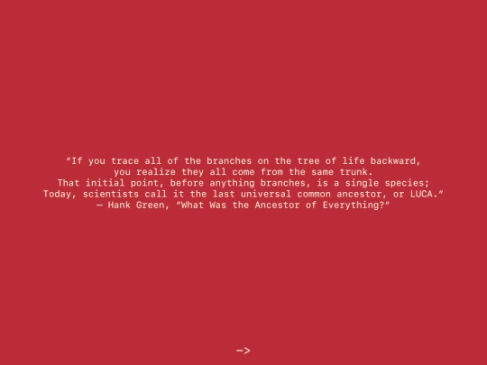 N1 screenshot