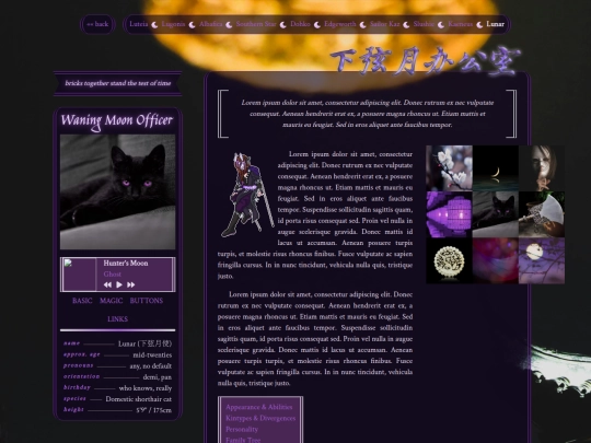 p/dir/ab/xx/about screenshot