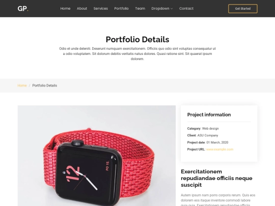 portfolio-details screenshot