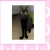 gibbonz.neocities.org avatar