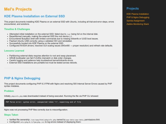 projects screenshot