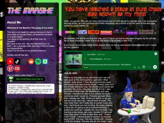 testsoidontbreakmysiteaccidentally screenshot
