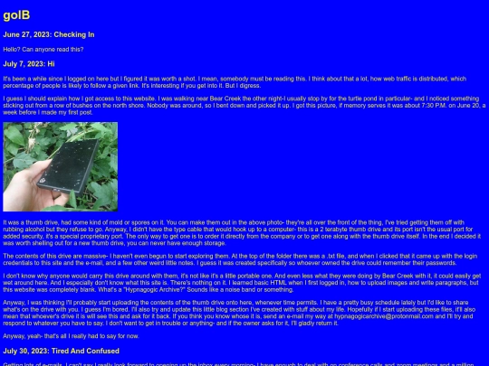 golB screenshot