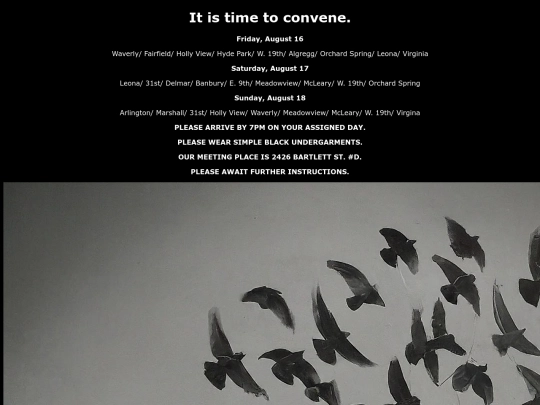 Flocks screenshot