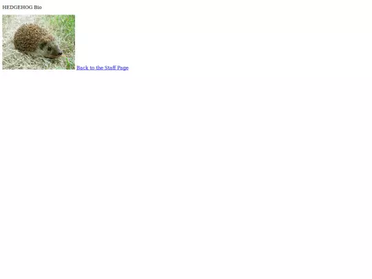 StaffPageAssignmennt_file/StaffMember2-Hedgehog screenshot
