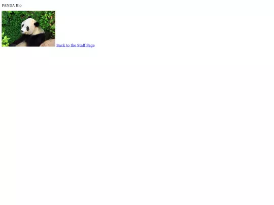 StaffPageAssignmennt_file/StaffMember4-Panda screenshot