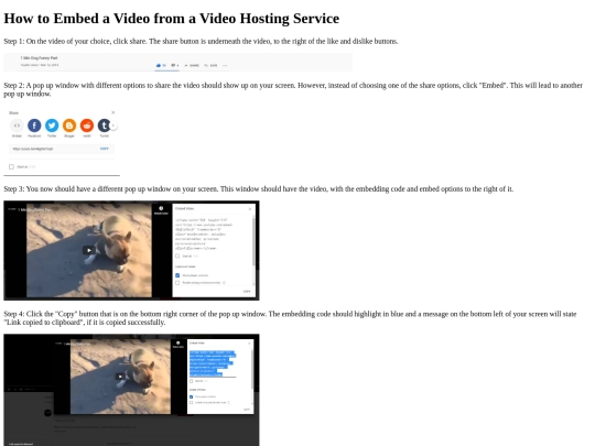 VideoEmbeddingAssignment_folder/VideoImbeddingAssignment screenshot