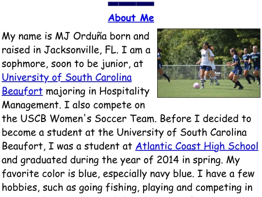 AboutMe screenshot
