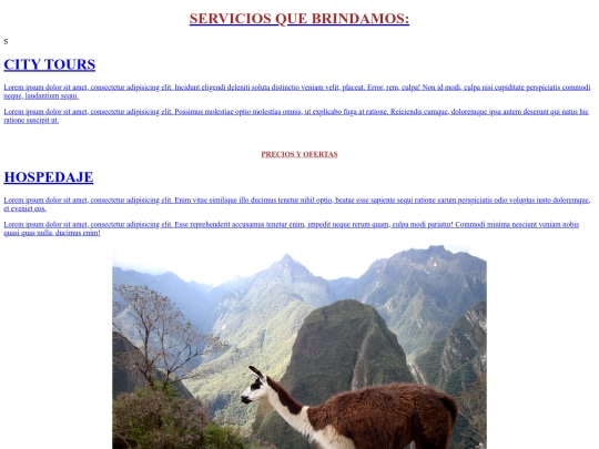 servicios screenshot