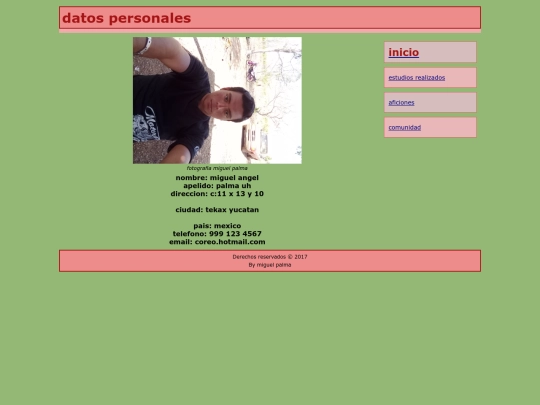 cv 3.1/datospersonales screenshot