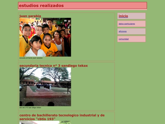 cv 3.1/estudiosrealizados screenshot