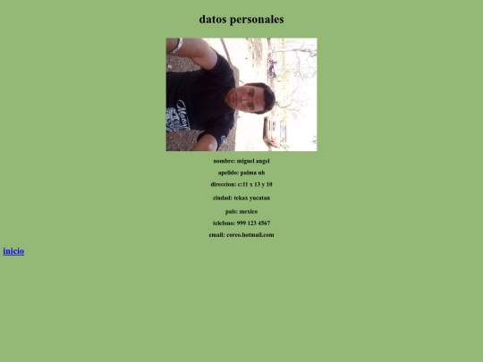 cv/datos personales screenshot