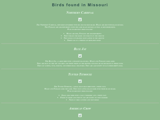 birds screenshot