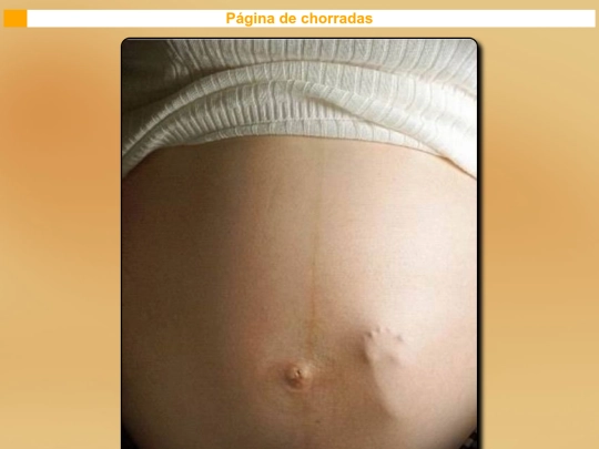 Index2/pag2 screenshot