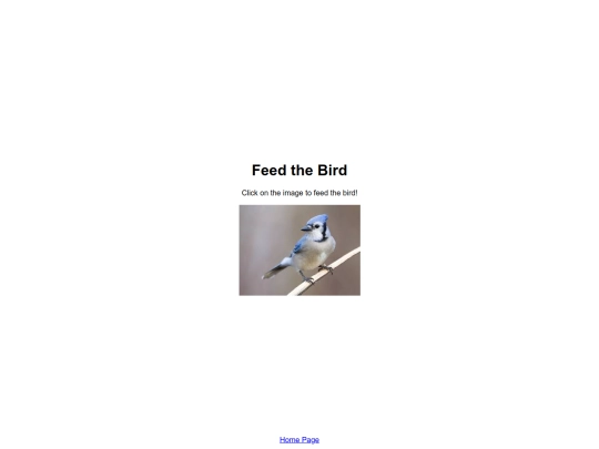 Feed The Bird screenshot