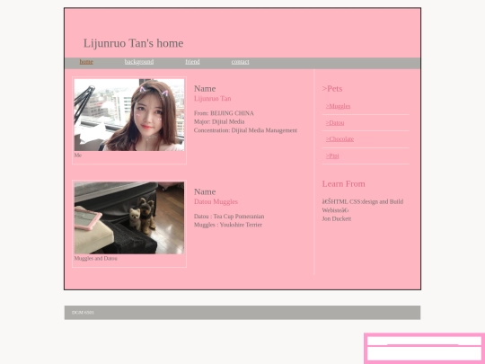 homepage screenshot