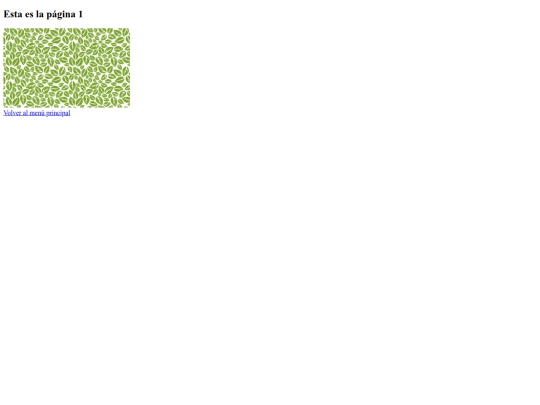 página1 screenshot
