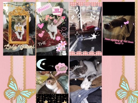 TuniGifs screenshot