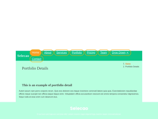 portfolio-details screenshot