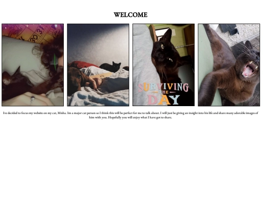 project/cat website screenshot