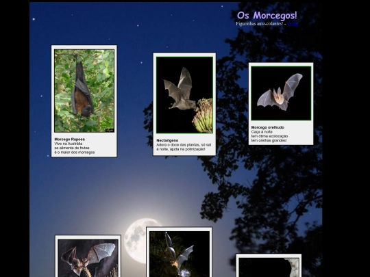 morcegos screenshot
