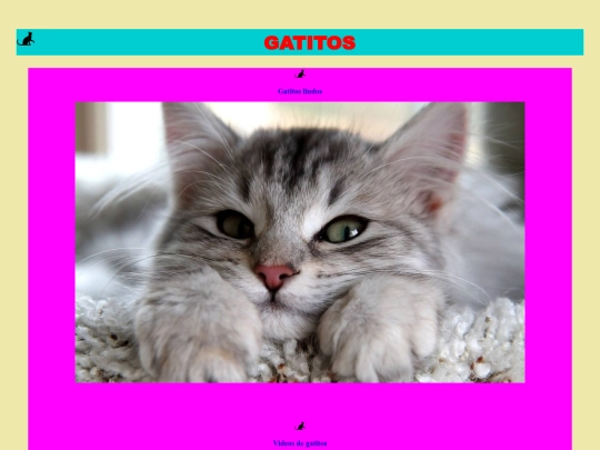 gatitos1 screenshot