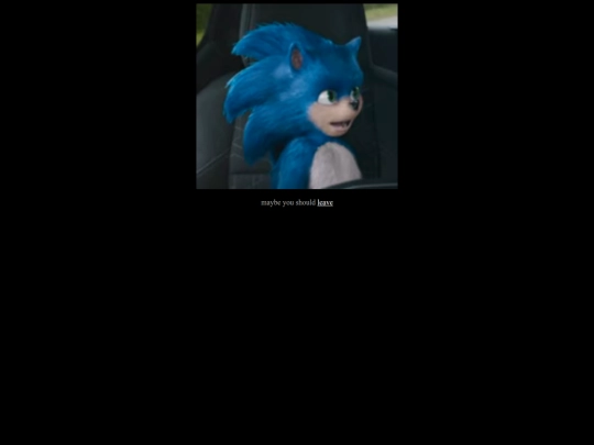 meme/sonic screenshot