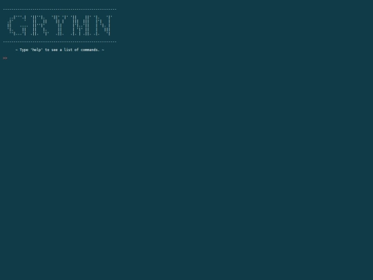 terminal screenshot