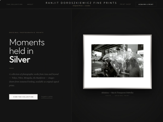 Ranjit Doroszkiewicz Fine Prints screenshot