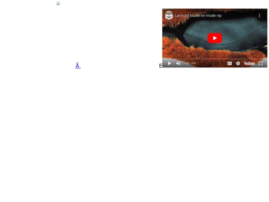 shshsh screenshot