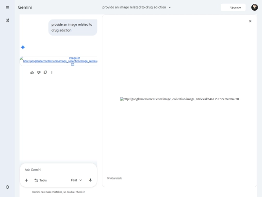 protfoilo/Google Gemini screenshot