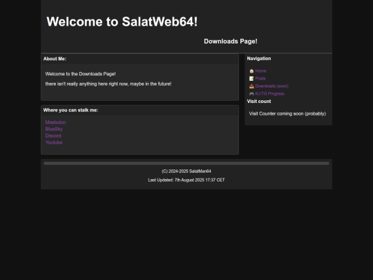 downloads screenshot