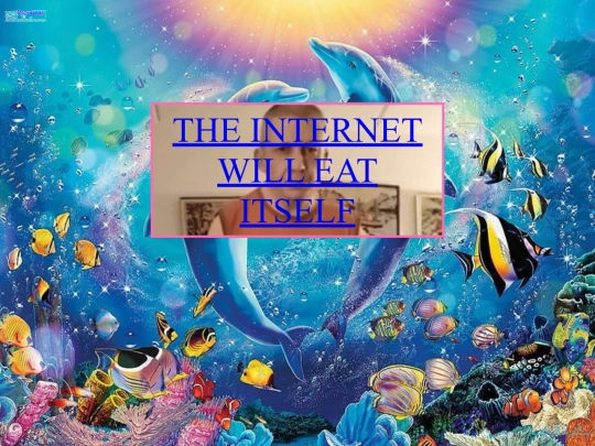 internet screenshot