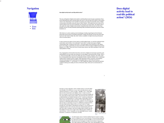 writing/political screenshot