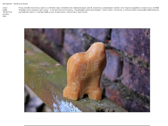 portfolio-obiekty stracone screenshot