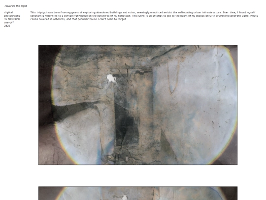 portfolio-towardsthelight screenshot