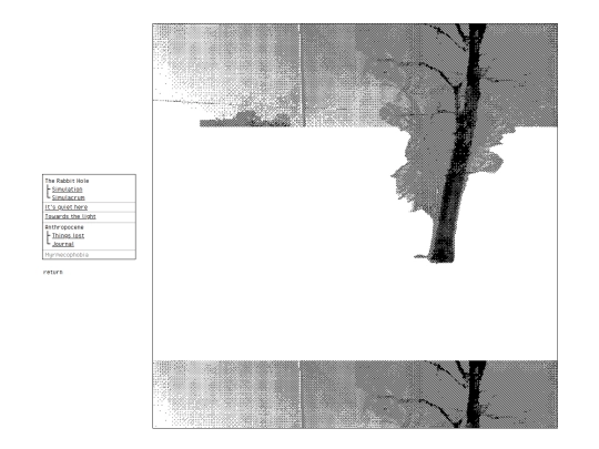 portfolio screenshot