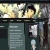 yakuflower.neocities.org avatar