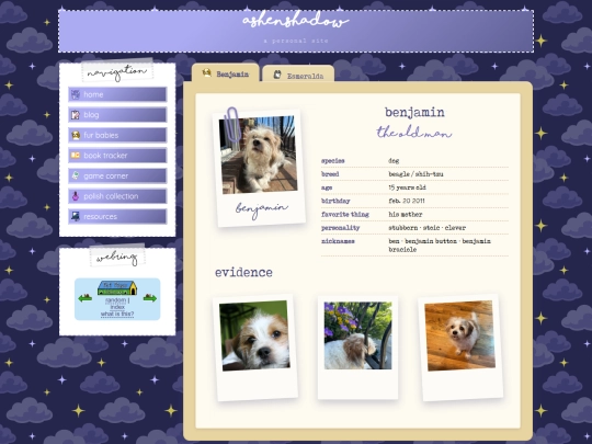 pets screenshot